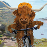 Highland Cyclist Greeting Card (Blank)