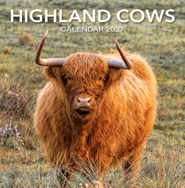 2027-calendar-highland-cows