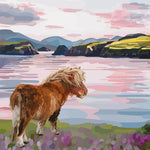 Shetland Pony Greeting Card (Blank)
