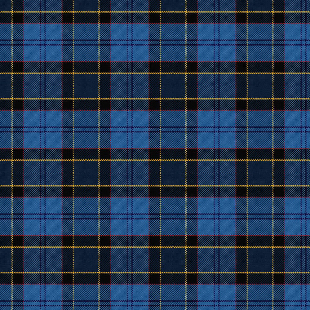 US Air Force Tartan