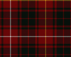 Bruce Clan Musical Fridge Magnet | Scottish Shop