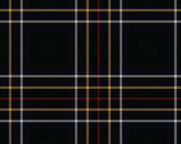 Cockburn Modern Men’s 8yd Kilt | Scottish Shop