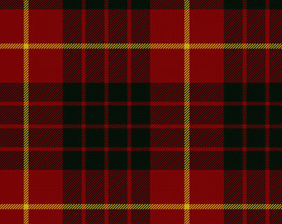 Cameron Modern Ladies Semi-Kilt | Scottish Shop