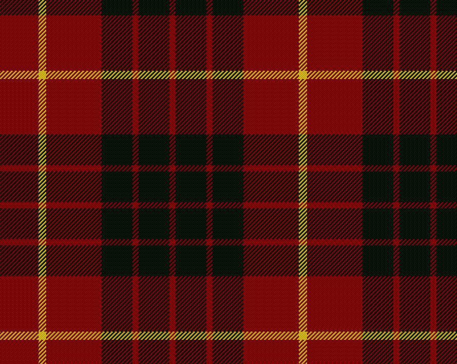 Cameron Modern Ladies Semi-Kilt | Scottish Shop