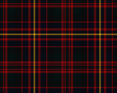 Cameron of Erracht Modern Ladies Semi-Kilt | Scottish Shop