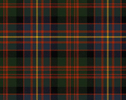 Cameron of Erracht Ancient Ladies Semi-Kilt | Scottish Shop