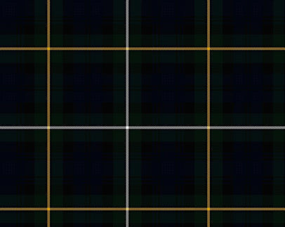 Campbell of Argyll Modern Ladies Semi-Kilt | Scottish Shop