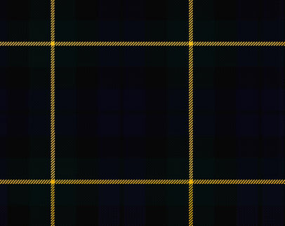 Campbell of Breadalbane Modern Ladies Semi-Kilt | Scottish Shop