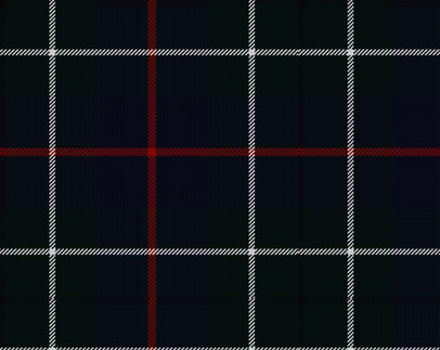 Duncan Modern Ladies Semi-Kilt | Scottish Shop