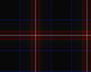 Braveheart Warrior Modern Hostess Kilt | Scottish Shop