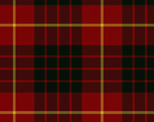 Cameron Modern Hostess Kilt | Scottish Shop