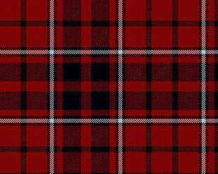 Cameron of Locheil Modern Hostess Kilt | Scottish Shop