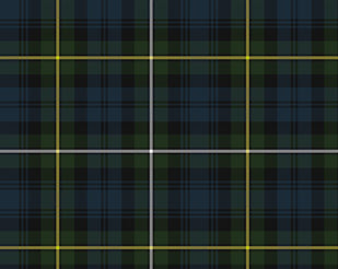 Campbell of Argyll Ancient Hostess Kilt | Scottish Shop