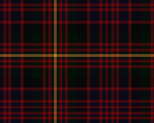 Carnegie Modern Hostess Kilt | Scottish Shop