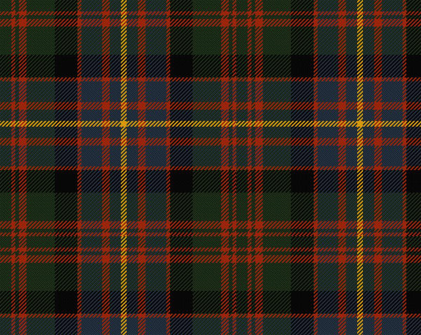 Cameron of Erracht Ancient Ladies Tartan Sash | Scottish Shop