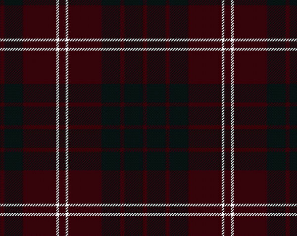 Crawford Modern Ladies Tartan Sash | Scottish Shop