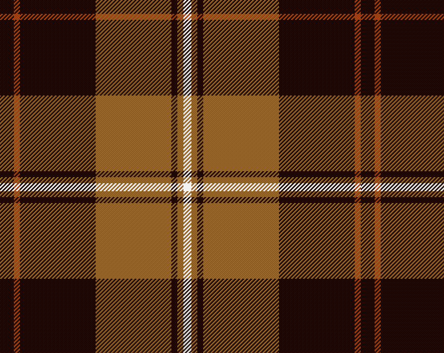 Elgin Modern Ladies Tartan Sash | Scottish Shop