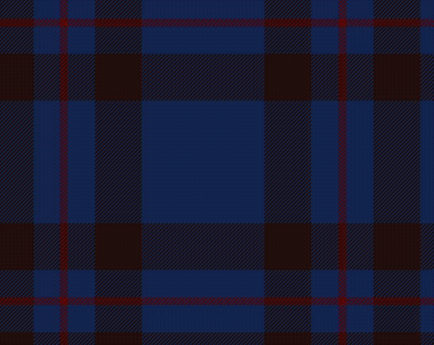 Elliott Modern Ladies Tartan Sash | Scottish Shop