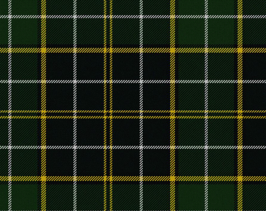 Forrester Hunting Modern Ladies Tartan Sash | Scottish Shop