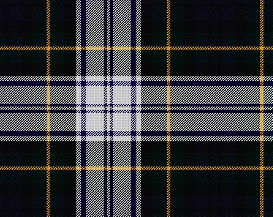 Gordon Dress Modern Ladies Tartan Sash | Scottish Shop