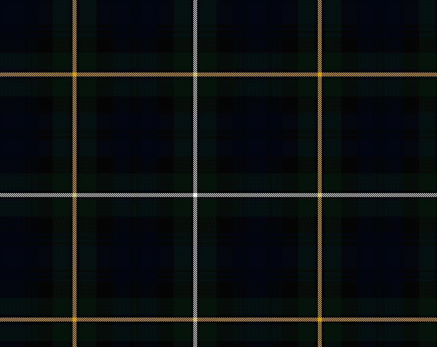 Campbell of Argyll Modern Tartan 11oz Cloth | Scottish Shop