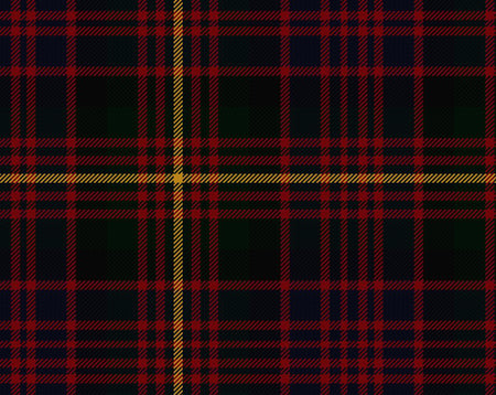 Carmegie Modern Tartan 11oz Cloth | Scottish Shop
