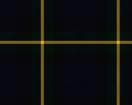 Gordon Modern Tartan 11oz Cloth | Scottish Shop