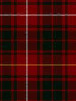 Bruce Modern Tartan Self-Tie Bow Tie | Scottish Shop