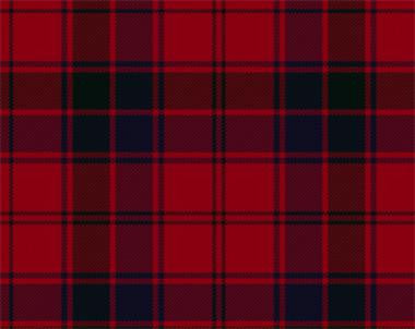 Robertson Modern Cummerbund/Bow Tie | Scottish Shop