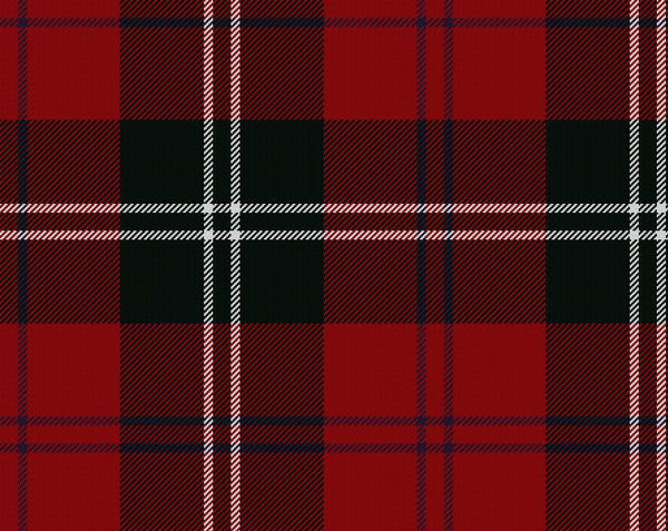 Ramsay Modern Tartan Childs Bow Tie | Scottish Shop