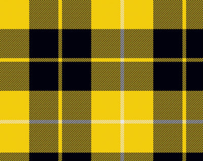 Barclay Modern Tartan Suspenders | Scottish Shop