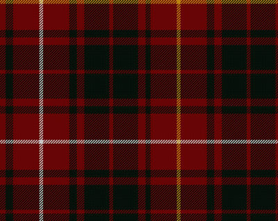 Bruce Modern Tartan Suspenders | Scottish Shop