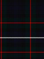 Robertson Hunting Modern Tartan Suspenders | Scottish Shop