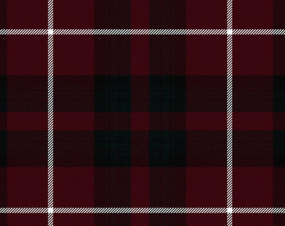 Stuart of Bute Modern Tartan Suspenders | Scottish Shop