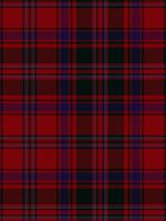 Stewart of Appin Modern Tartan Scarf | Scottish Shop