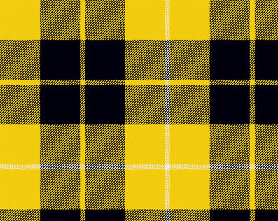 Barclay Modern Ladies Tartan Sash | Scottish Shop