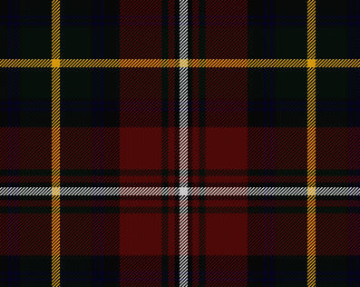 Boyd Modern Ladies Tartan Sash | Scottish Shop
