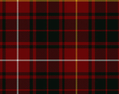 Bruce Modern Ladies Tartan Sash | Scottish Shop
