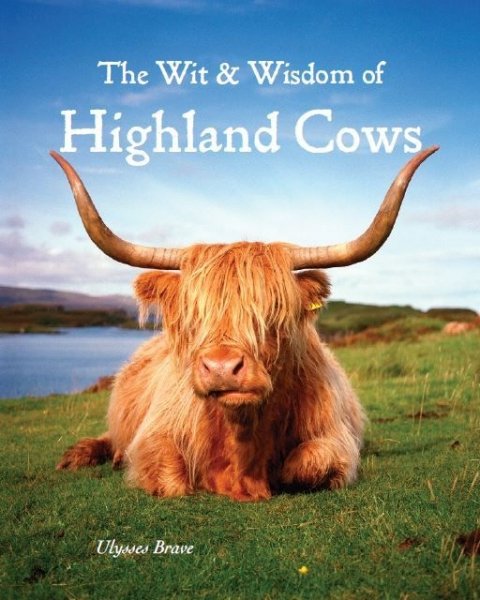 wit-wisdom-of-highland-cows