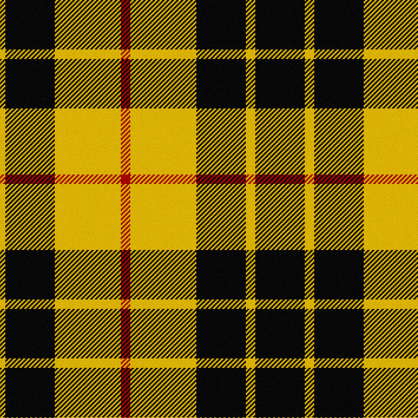 MacLeod of Lewis Clan Heritage