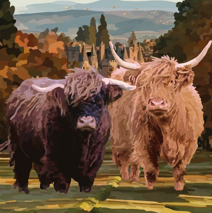 Two Highland Cows Greeting Card (Blank)