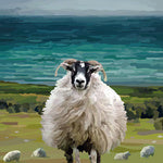 Coastline Sheep Greeting Card (Blank)