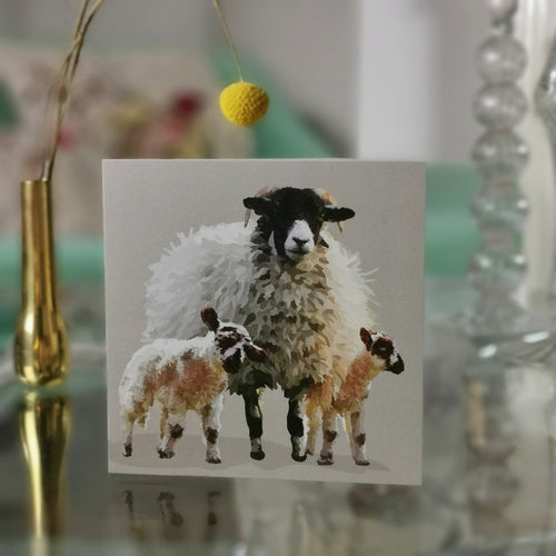 Lambs Greeting Card Blank