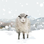 Periodic Society Sheep And Snow Blank Greeting Card
