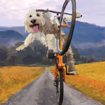 Wheelie Greeting Card (Blank)