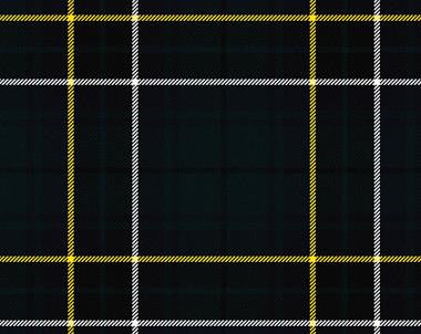 MacAlpine Modern Ladies Tartan Shawl | Scottish Shop