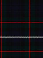 Robertson Hunting Ladies Tartan Shawl | Scottish Shop