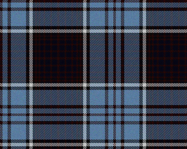 Royal Canadian Air Force Modern Ladies Tartan Shawl | Scottish Shop