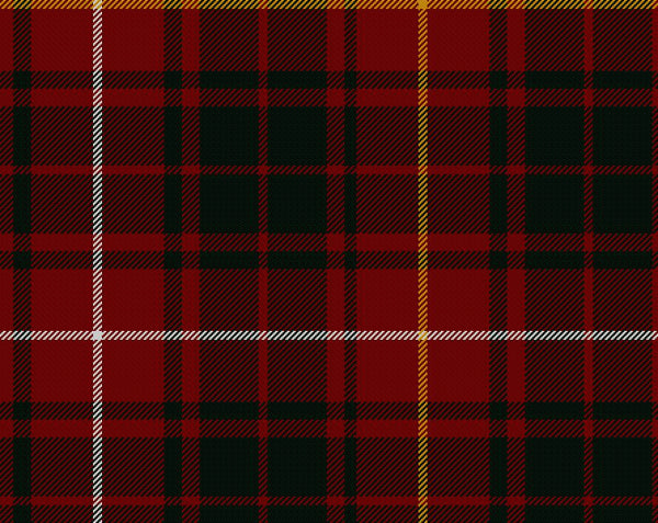 Bruce Modern Tartan 8oz Cloth | Scottish Shop