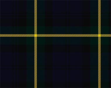 Gordon Modern Tartan 8oz Cloth | Scottish Shop